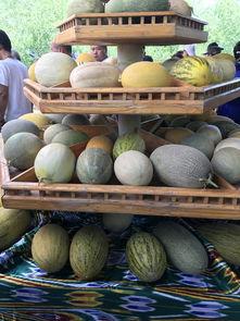 吃新疆的瓜,探寻新疆特色瓜果的魅力