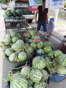 福临城吃瓜事件,一场网络热议背后的真相揭秘