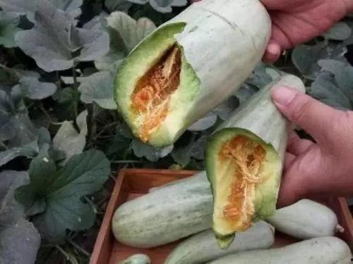 吃瓜先削皮,揭秘娱乐圈背后的真相