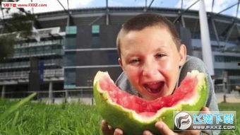 吃瓜小男孩,吃瓜小男孩的欢乐冒险记